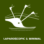 Laparoscopic & Minimal