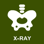 X-RAY inGhaziabad