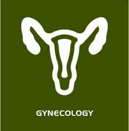 Gynaecology Hospital in Ghaziabad Sector 22 , Ghaziabad